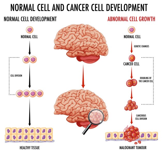 Understanding Genetic Testing for Cancer Risk